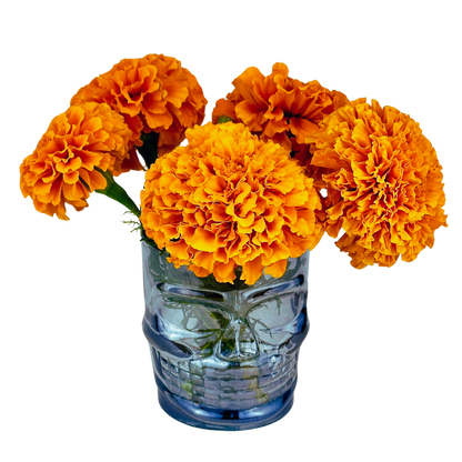 Spring Farmer's Bundle