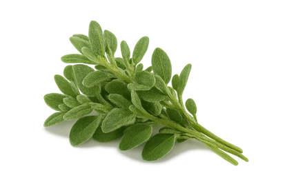 Herb Bundle