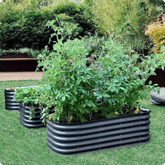 17" 12-in-1 Raised Bed & Greens Seedlings Bundle
