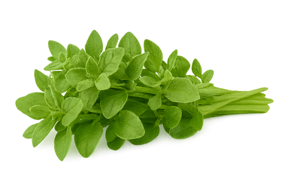 Herb Bundle