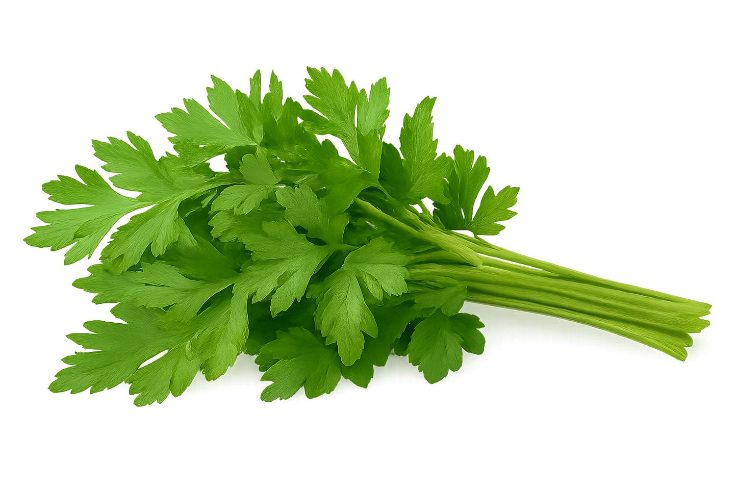 Herb Bundle