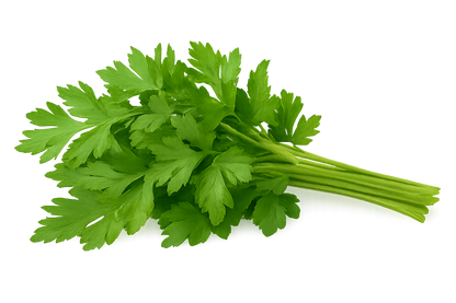 Herb Bundle
