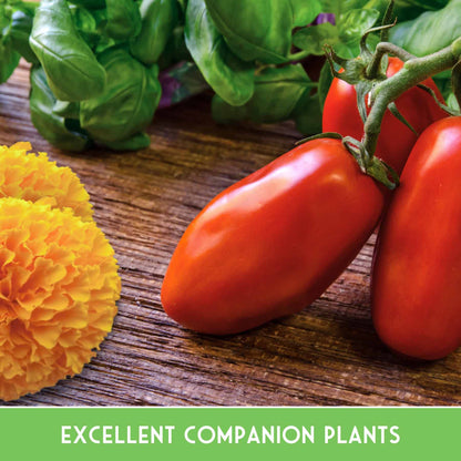 Pest Defense Seed Collection – 6 Heirloom Herbs & Flowers for Natural Garden Protection