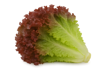 Lettuce Bundle
