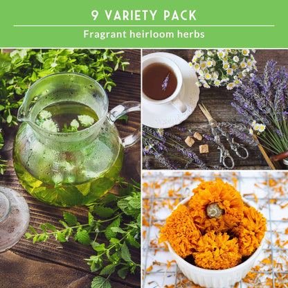Medicinal Tea Seed Collection - 9 Flowers and Herbs for Medicinal Tea