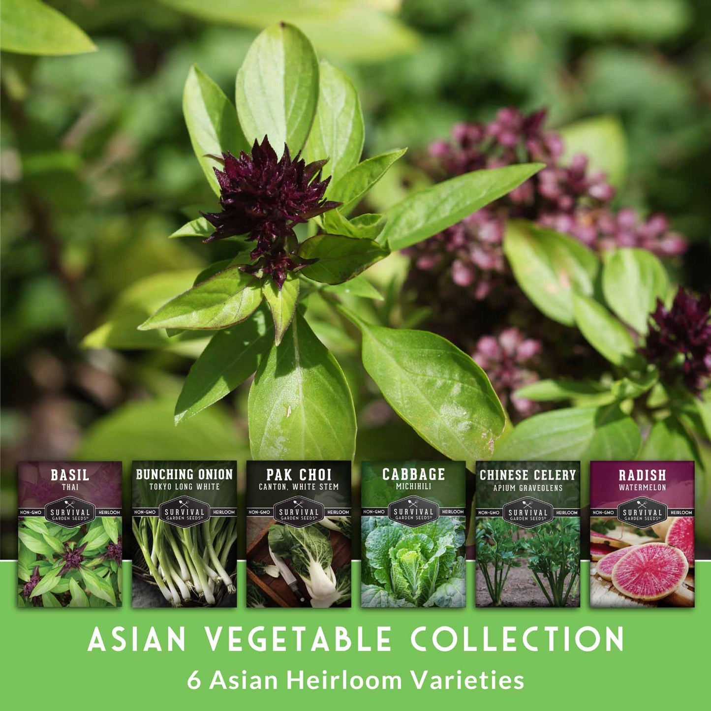 Asian Vegetable Seed Collection – 6 Heirloom, Non-GMO Varieties for Stir-Fries, Soups & Authentic Home Cooking