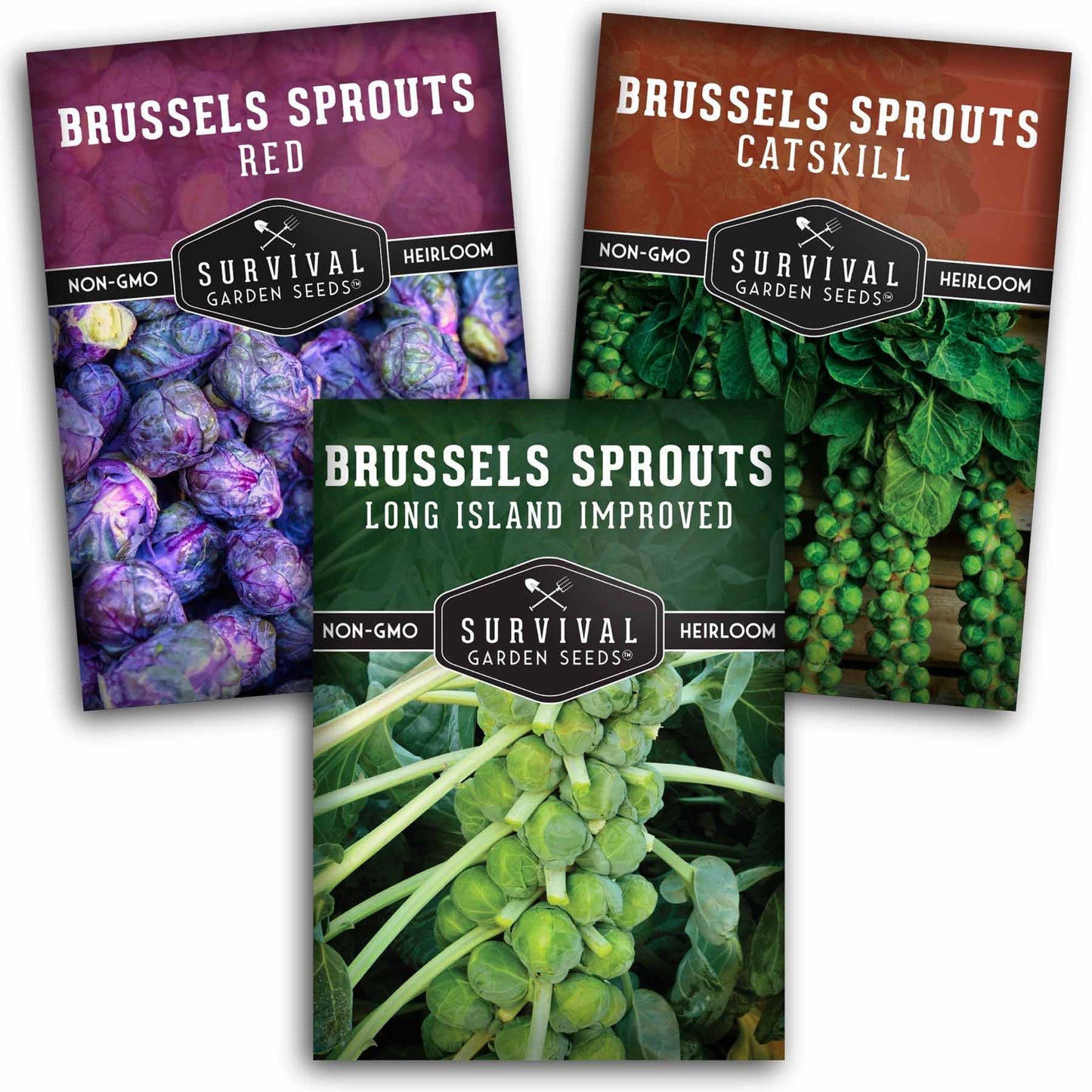 Brussels Sprouts Seed Collection – Red, Catskill & Long Island Improved Heirlooms for Cool-Season Harvests