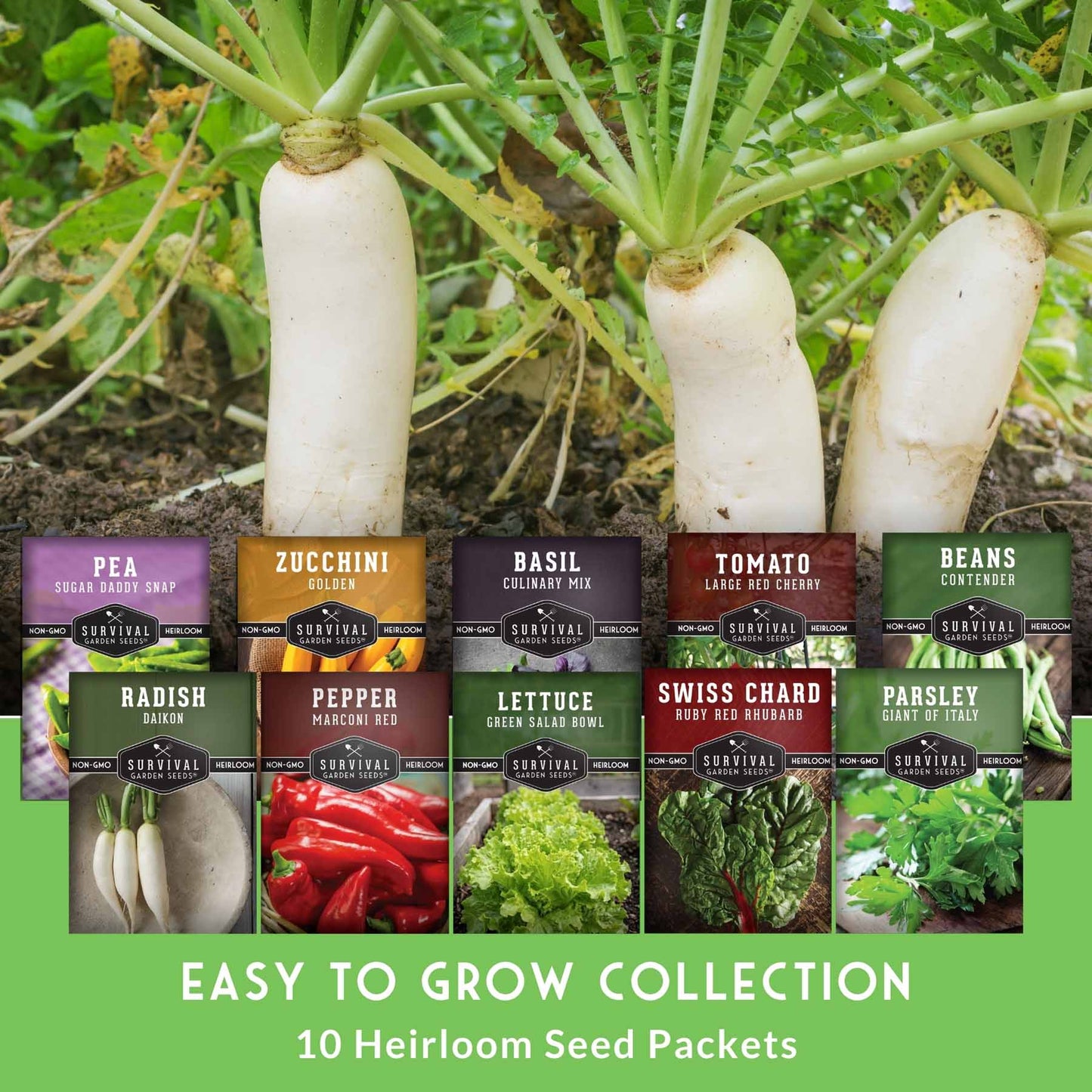 Easy-to-Grow Seed Collection – Beginner-Friendly Vegetables & Herbs for Quick, Reliable Harvests