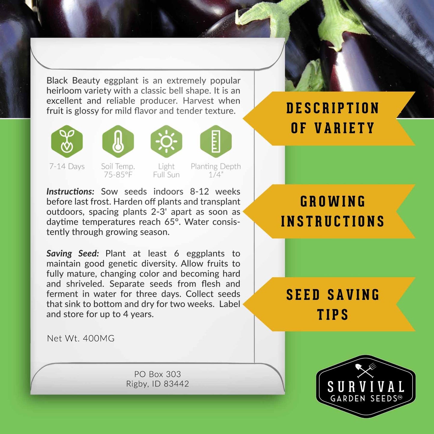 Eggplant Seed Collection – Snowy, Long Purple & Black Beauty Varieties for Home Gardens