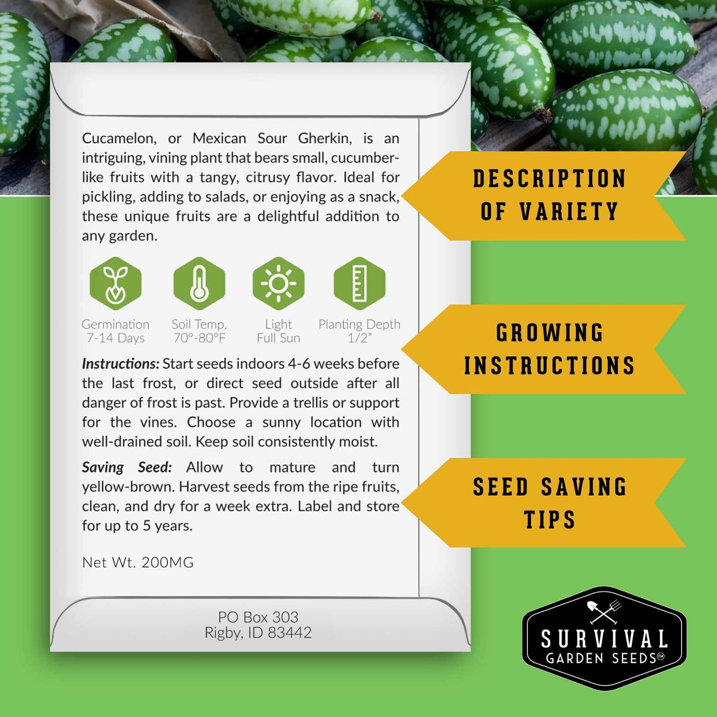 8-Variety Heirloom Fruit Seed Collection – Non-GMO Strawberry, Melon & Watermelon Seeds for Home Gardens