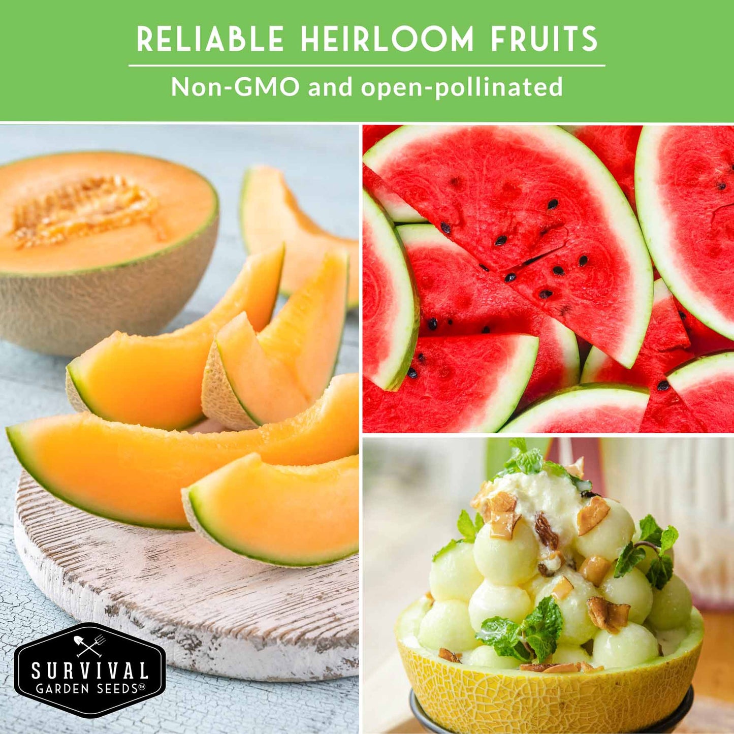 8-Variety Heirloom Fruit Seed Collection – Non-GMO Strawberry, Melon & Watermelon Seeds for Home Gardens