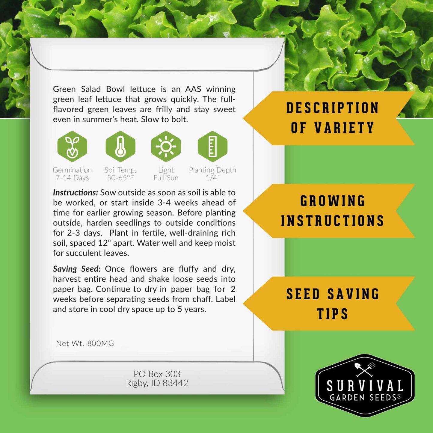 Greens Seeds Collection – 5 Heirloom Leafy Superfoods for Year-Round Growing Indoors or Outdoors