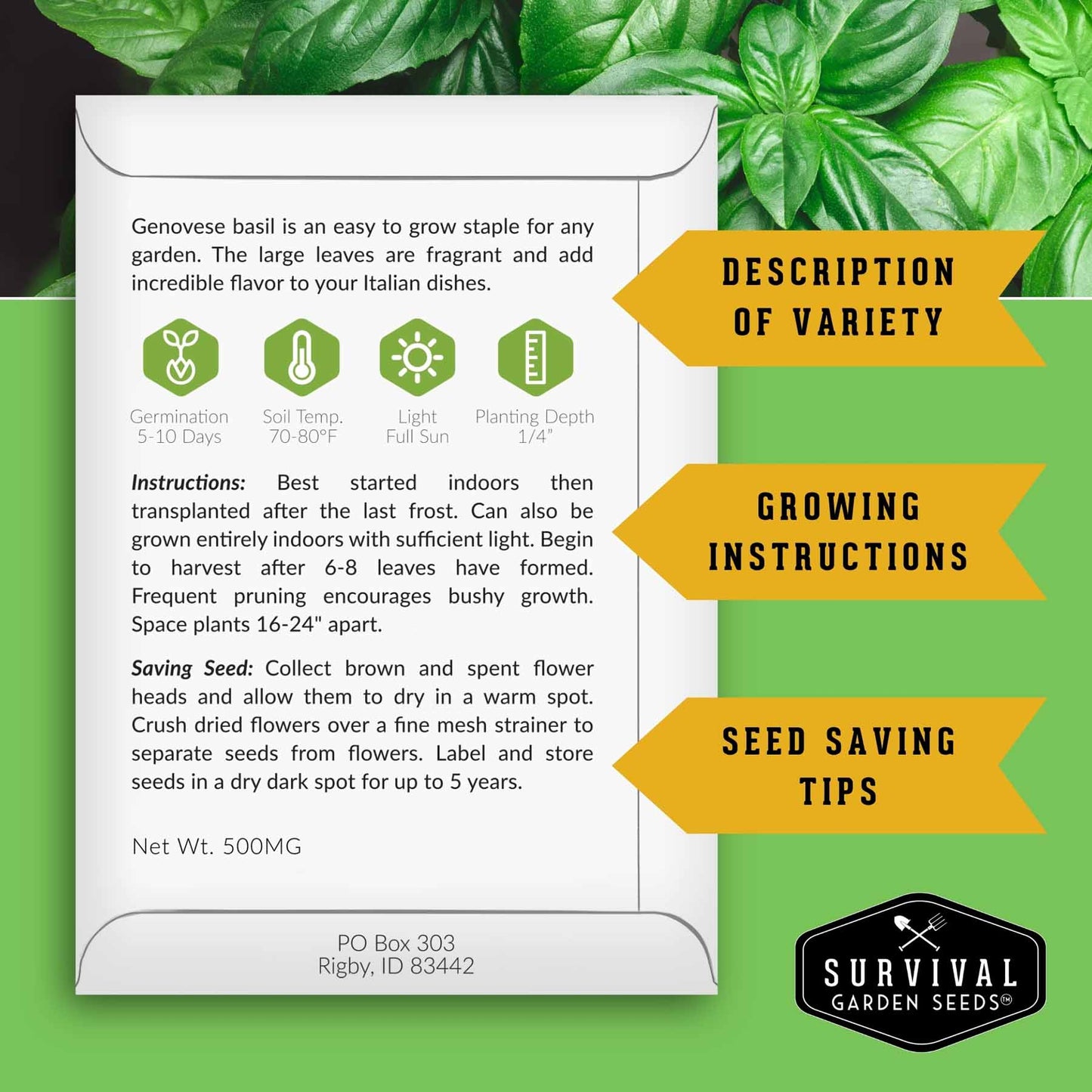 Indoor Herb Garden Hydroponic Seeds Collection – 6 Heirloom Non-GMO Culinary Herbs for Countertop, Tower & Year-Round Growing