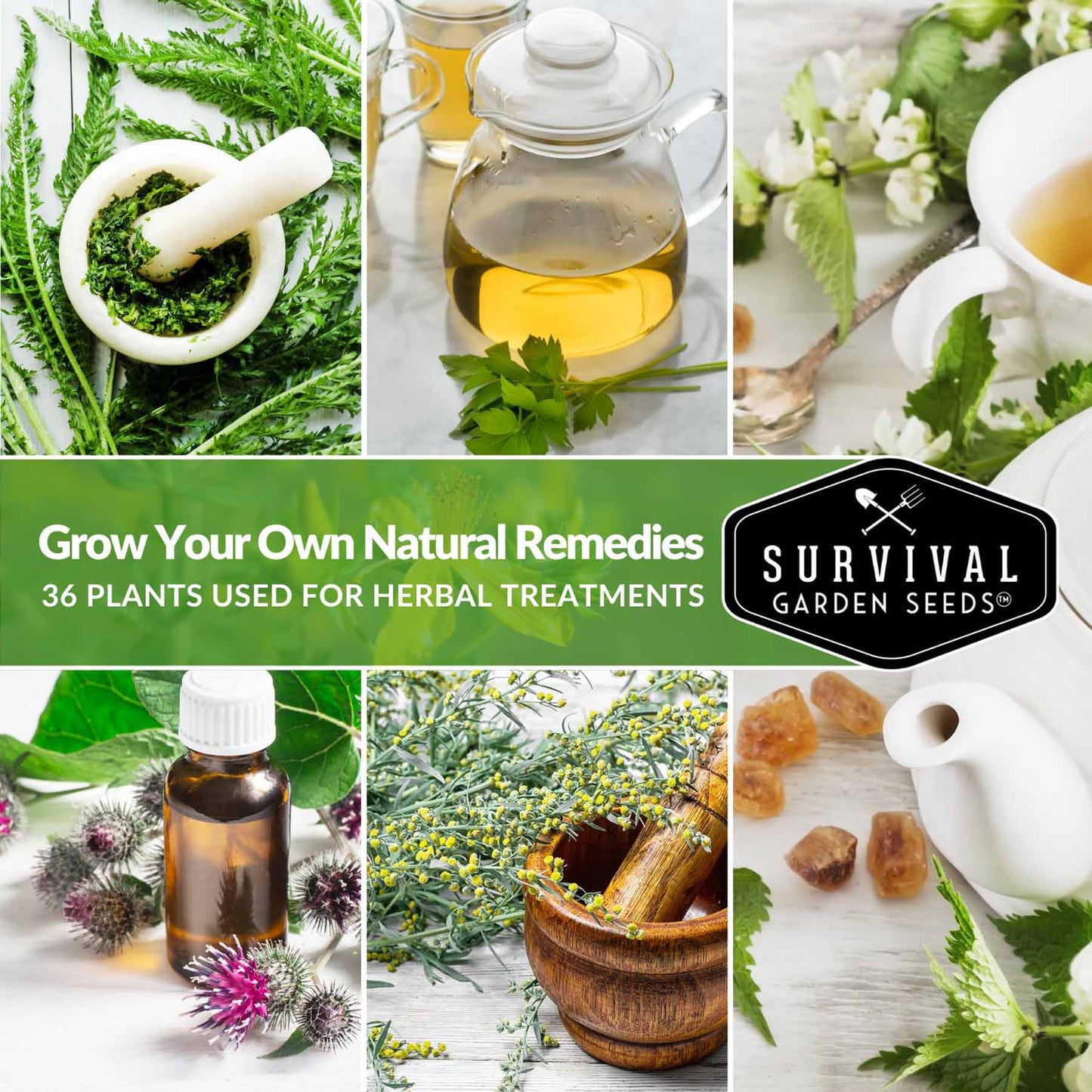 Medicinal Herb Garden - 36 Heirloom Seed Varieties for a Wellness Garden