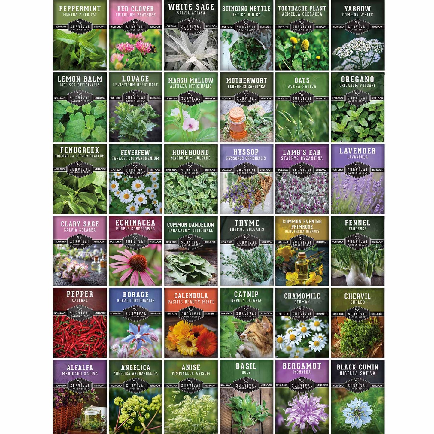 Medicinal Herb Garden - 36 Heirloom Seed Varieties for a Wellness Garden