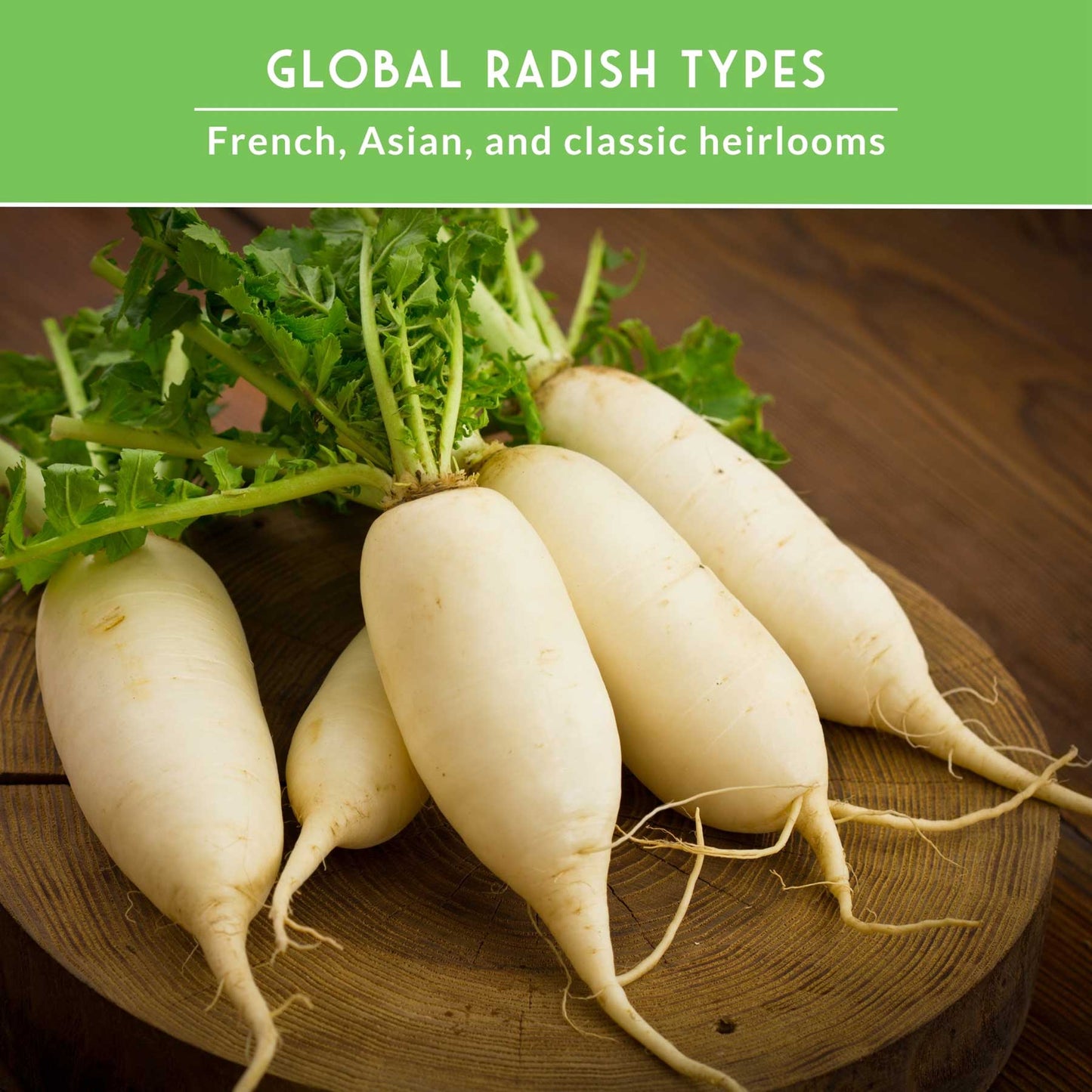 5 Variety Radish Seeds Pack – Heirloom Collection for Spring, Summer & Fall Gardens