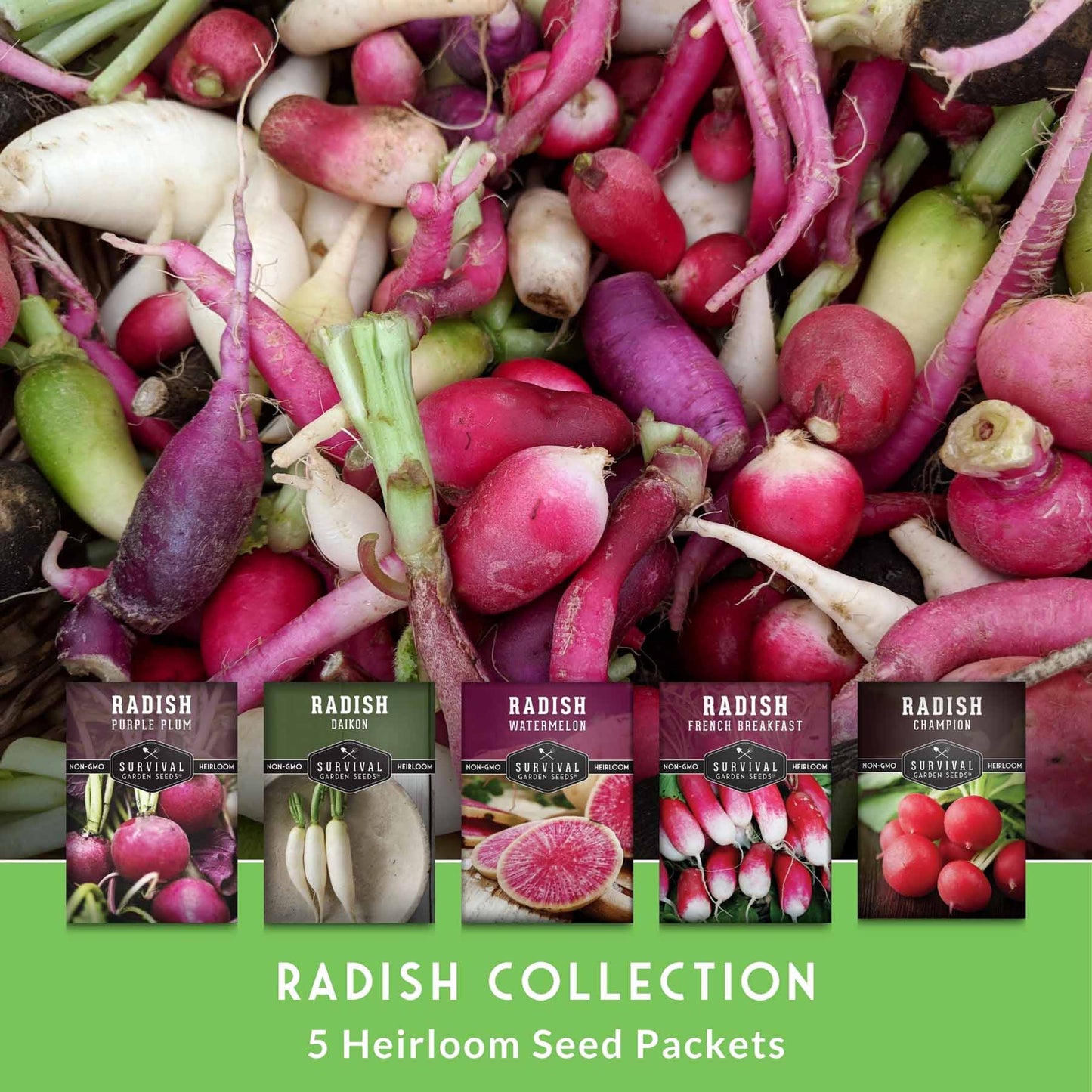 5 Variety Radish Seeds Pack – Heirloom Collection for Spring, Summer & Fall Gardens