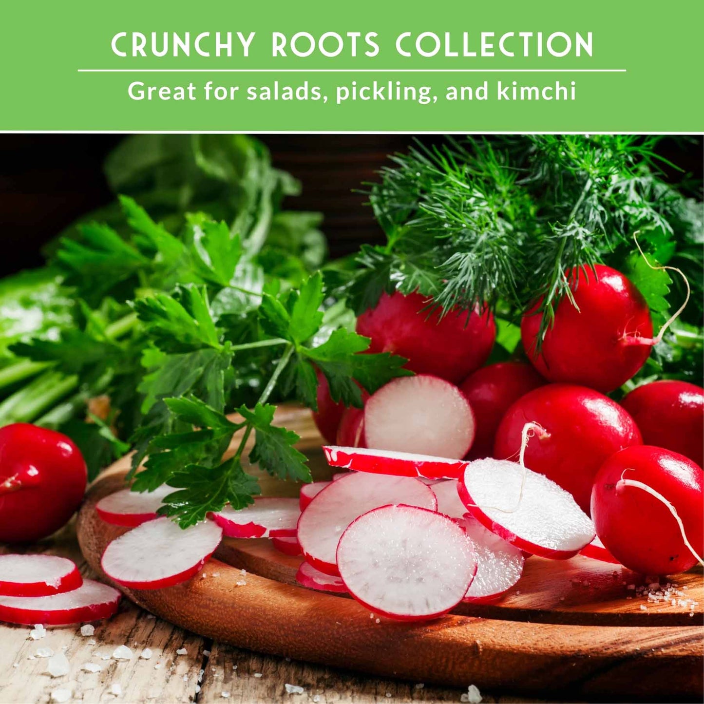 5 Variety Radish Seeds Pack – Heirloom Collection for Spring, Summer & Fall Gardens