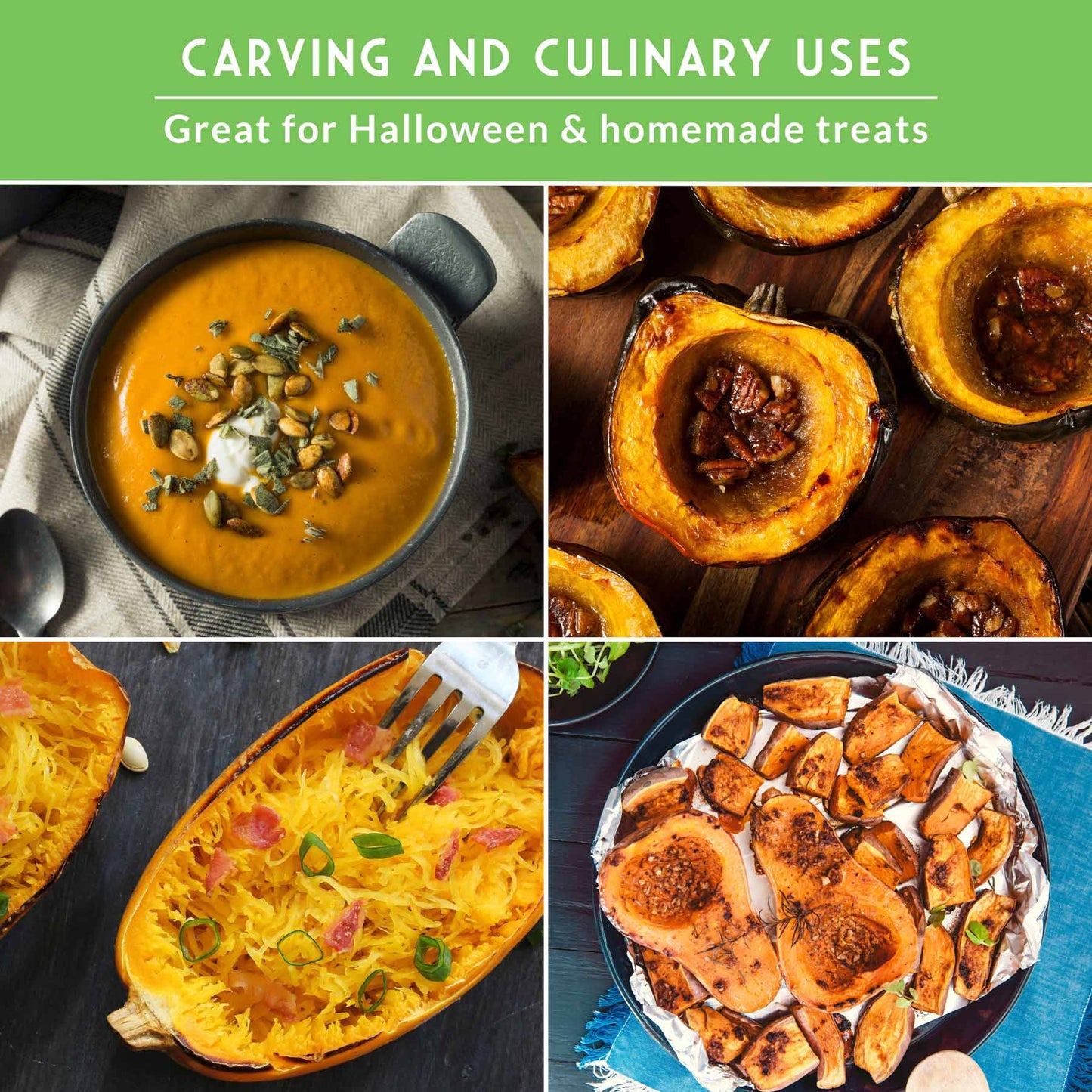 Winter Squash Seed Collection – Acorn, Butternut, Pink Banana & Spaghetti for Long-Storing, Cold-Season Nutrition