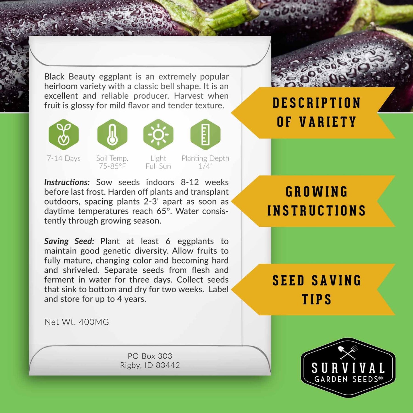 Summer Vegetable Seed Collection – Easy-Growing Tomatoes, Peppers, Beans, Cucumbers, Eggplant & Zucchini