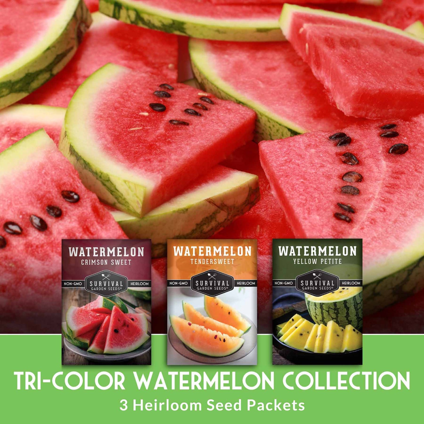 Tri-Color Watermelon Seeds – Crimson Sweet, Yellow Petite & Tendersweet Orange Heirloom Varieties for Vibrant Summer Harvests