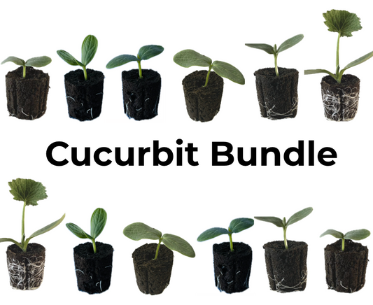 Cucurbit Bundle