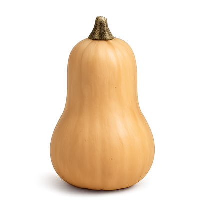 Cucurbit Bundle