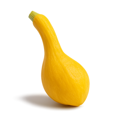 Cucurbit Bundle