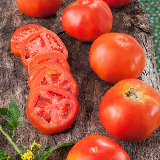 Rutgers Tomato
