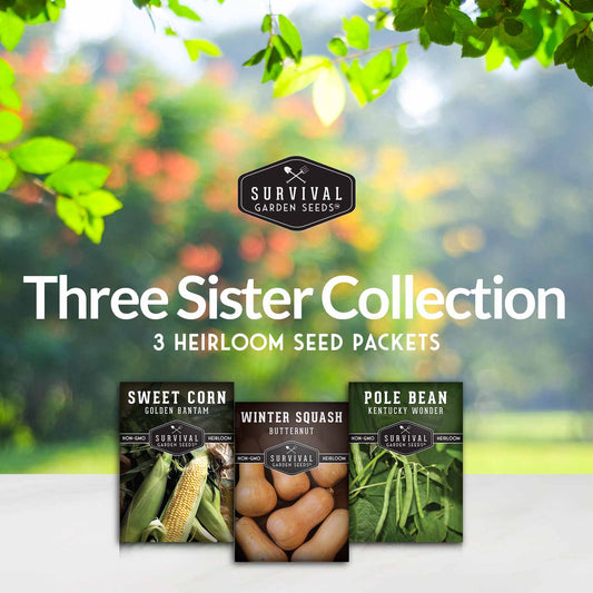 Three Sisters Seed Collection – Heirloom Corn, Pole Beans & Butternut Squash for Companion Planting