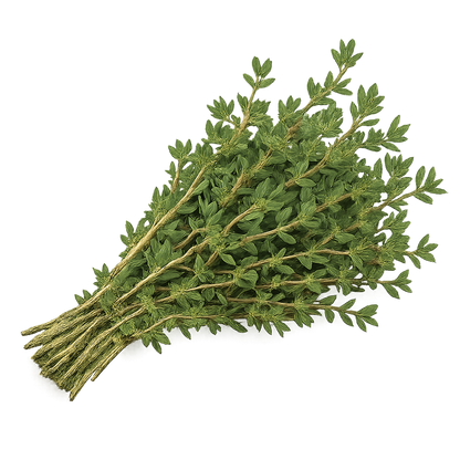 Herb Bundle