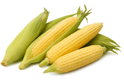 Veggie Bundle