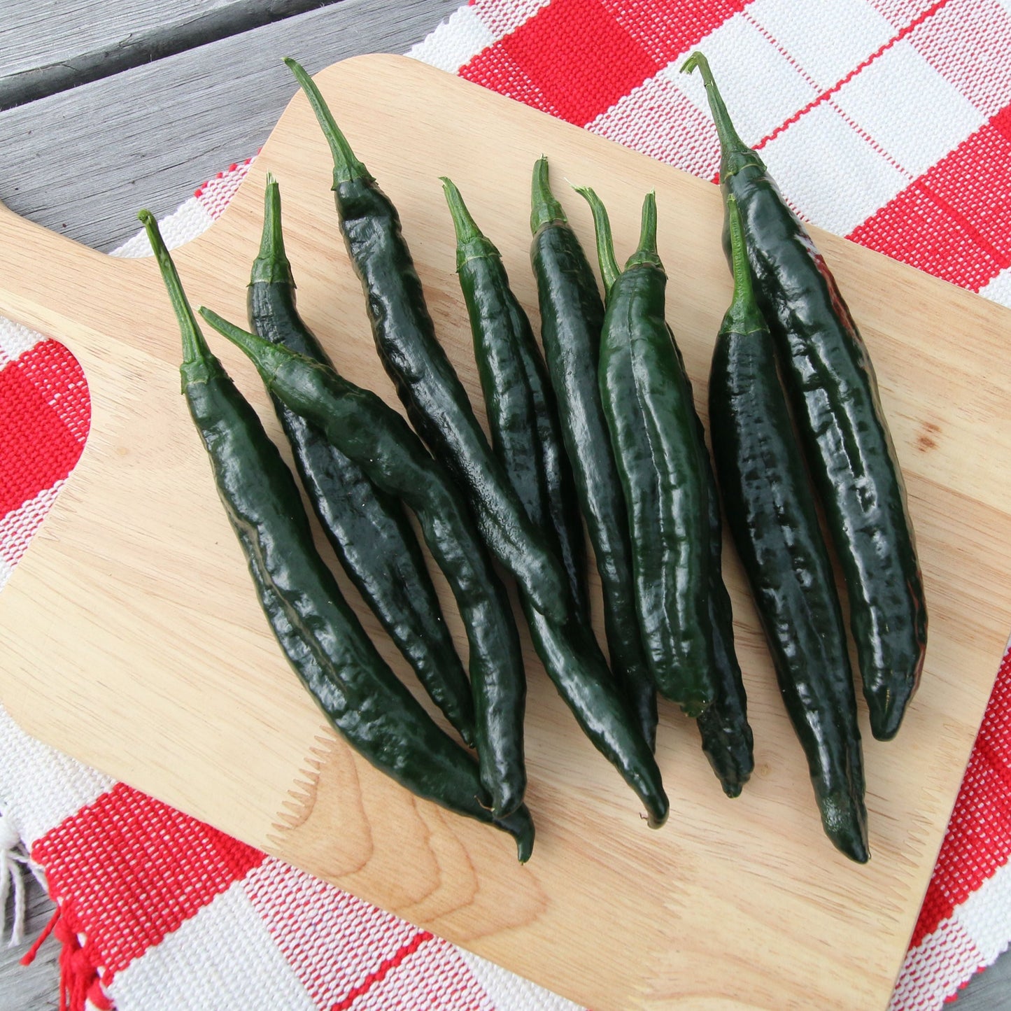 Pasilla Bajio Pepper