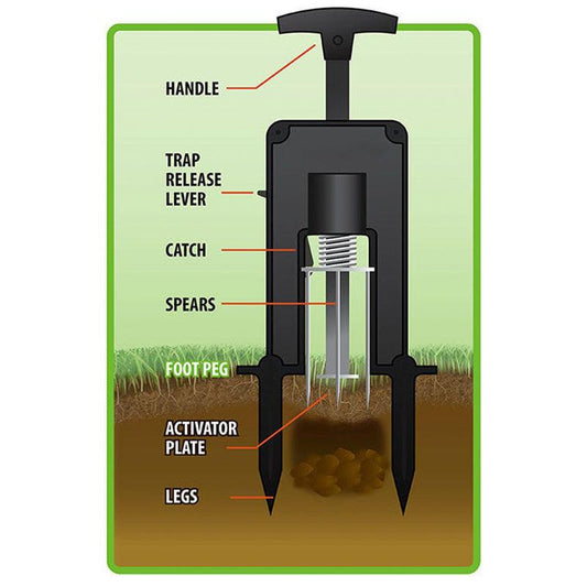 Victor Deadset Mole Trap